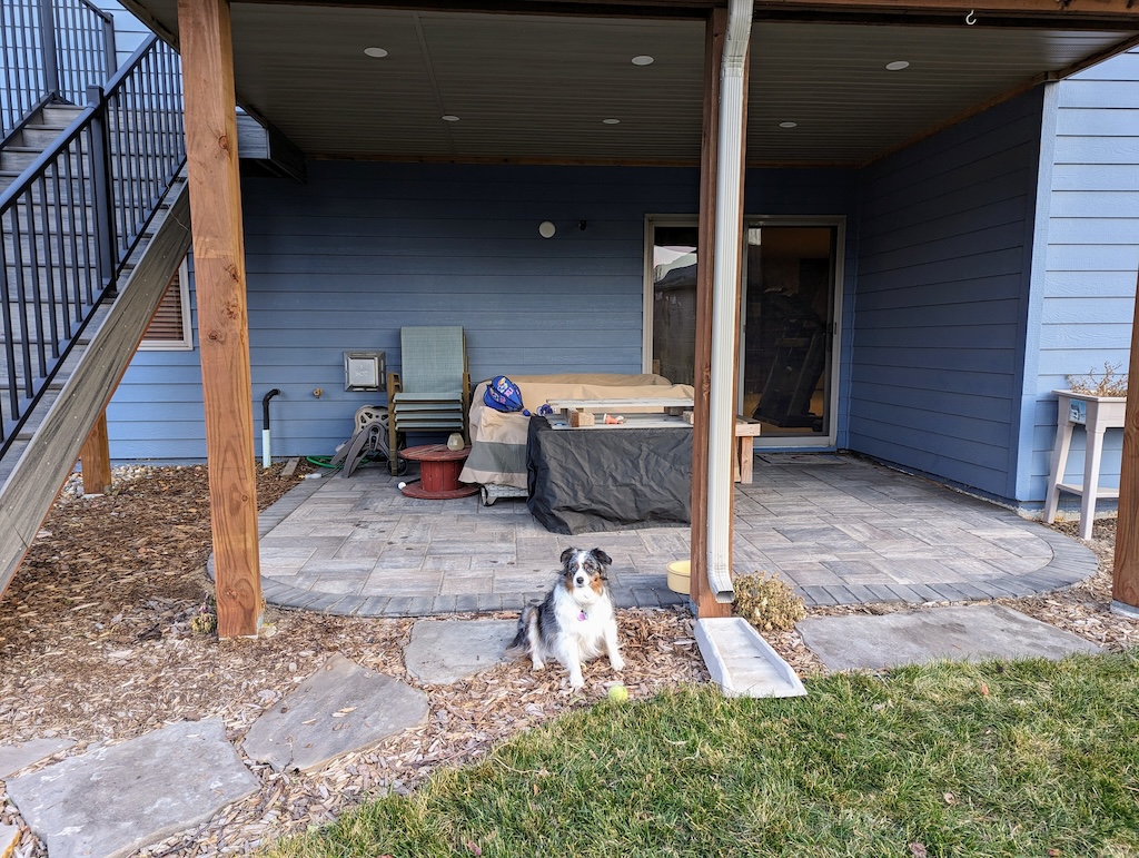 My dog Jasmine in front of our patio with furniture put away.