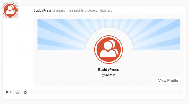 Example of Buddy Press logging activities. Image Source: BuddyPress.org