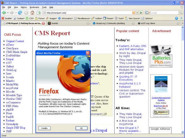 Screenshot of CMSReport.com in Firefox 2 RC1